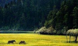 香格里拉最新爆料,揭秘神秘高原的传奇故事与未解之谜
